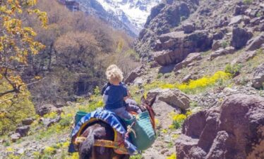 5 Day Winter Toubkal Trek