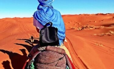 Merzouga and camel