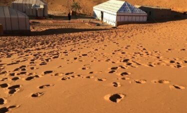 bivouac-sahara-camps(10)
