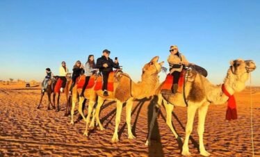 camel-tour-of-morocco(2)