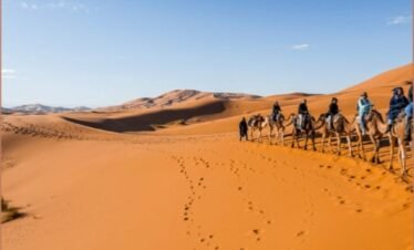 merzouga and camel