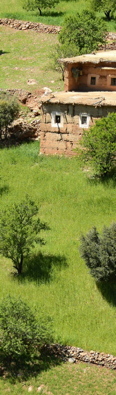 Berber Villages Trek