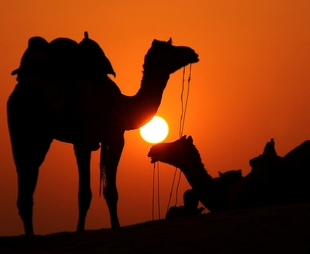 14-Day Grand Morocco Tour from Casablanca