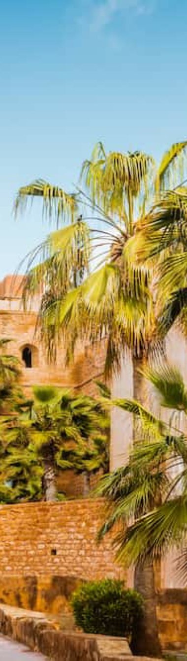 Casablanca Tour
