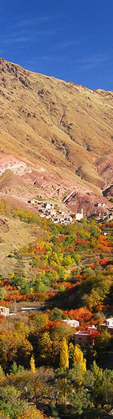 Atlas Mountains Day Trip to Imlil Valley