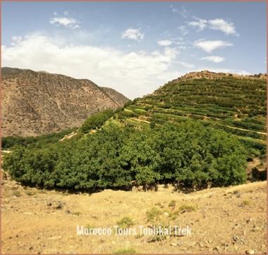 Shared Group 3-Day Trekking Berber Villages
