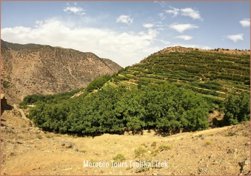 Shared Group 3-Day Trekking Berber Villages