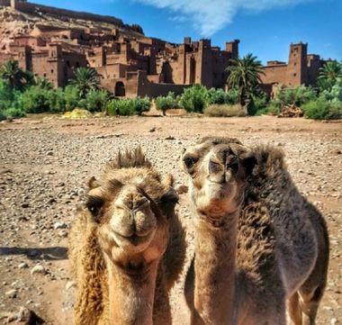 6-Day Family Desert Tour from Marrakech