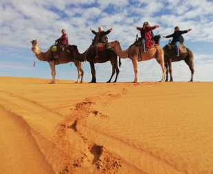 6-Day Family Desert Tour from Marrakech