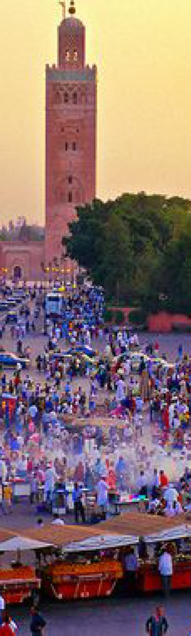 Marrakech Tours