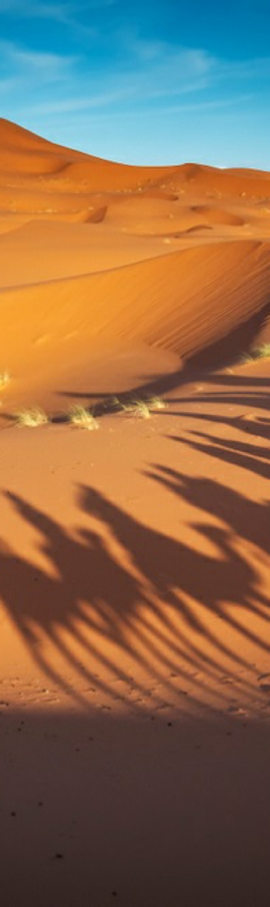 Group Morocco Tour