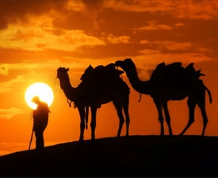 6-Day Sahara Desert Tour from Tangier