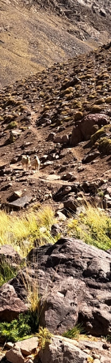 Toubkal Trekking