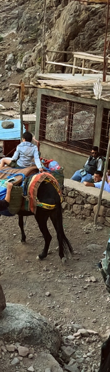 Toubkal Trekking